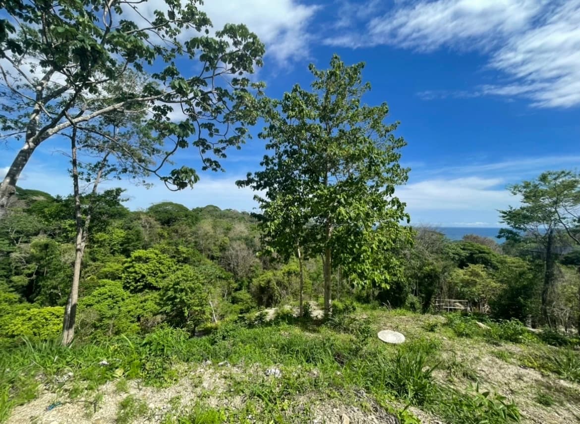 Terreno en Cóbano