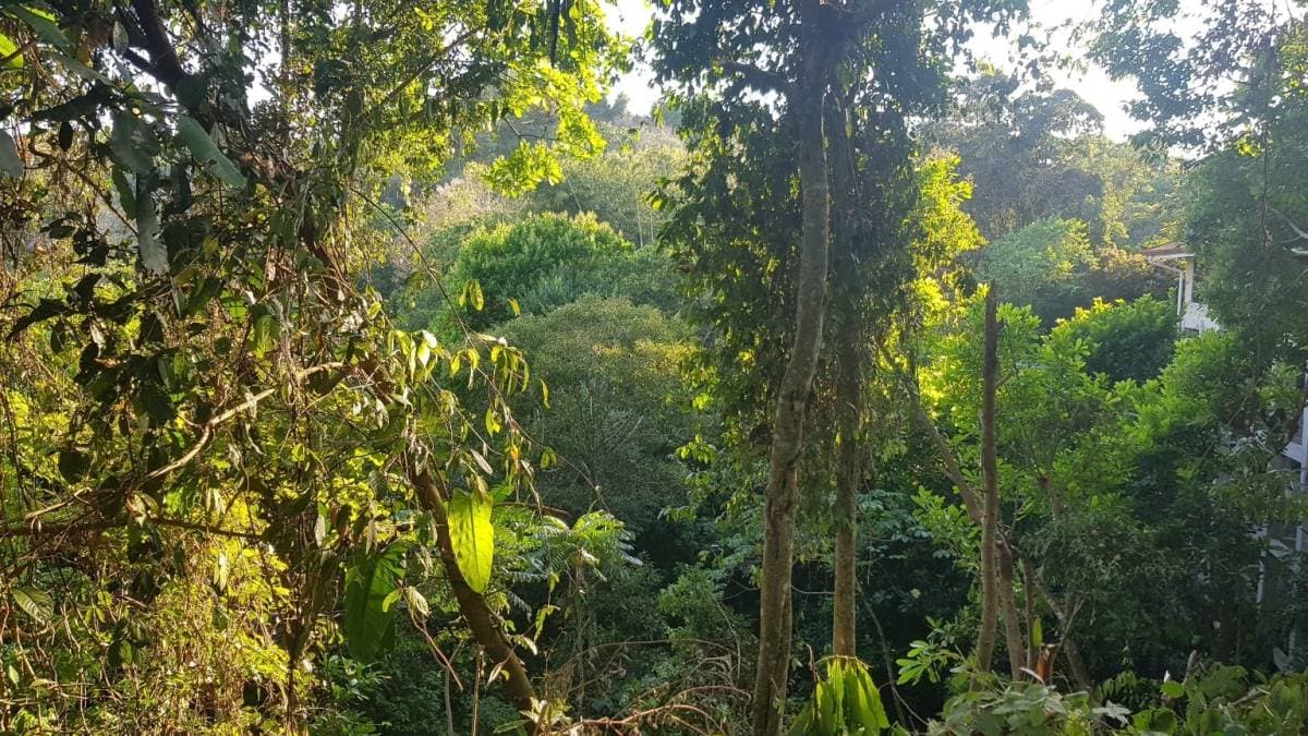 Property at Quepos