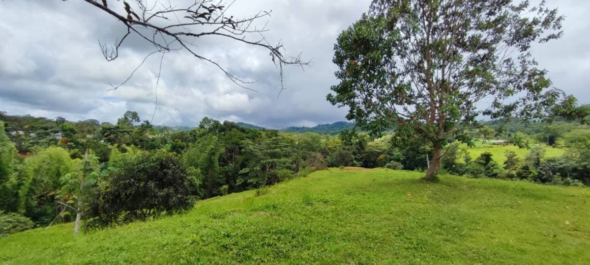 Property at Bijagual