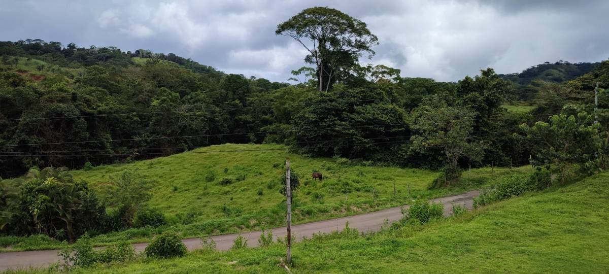 Propiedad en Bijagual