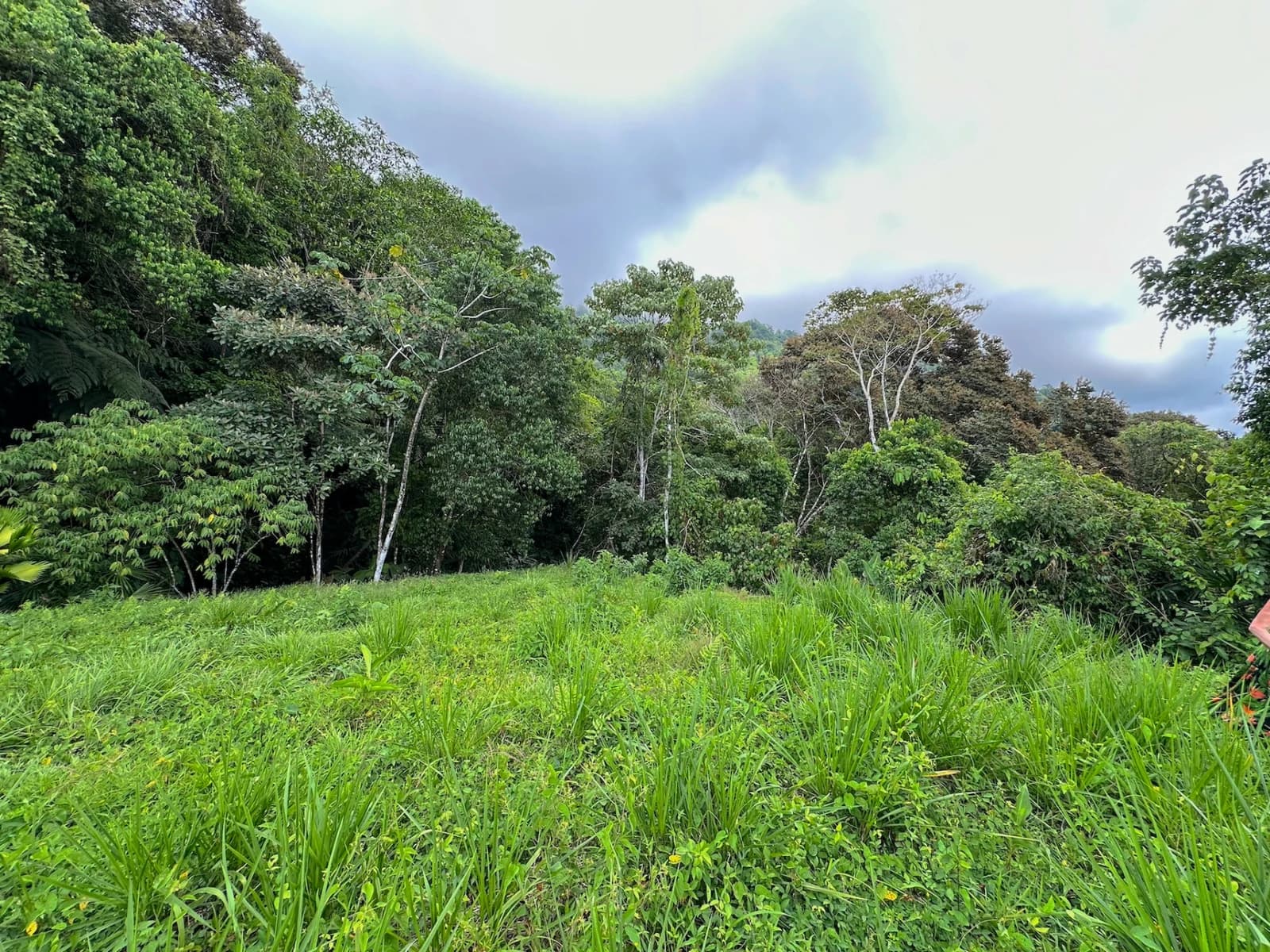 Terreno en Puerto Cortés