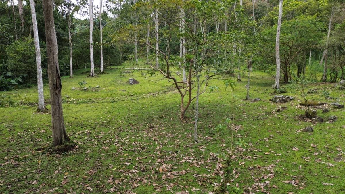 Propiedad en Turrialba