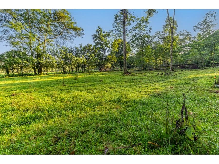 Estate at Guápiles