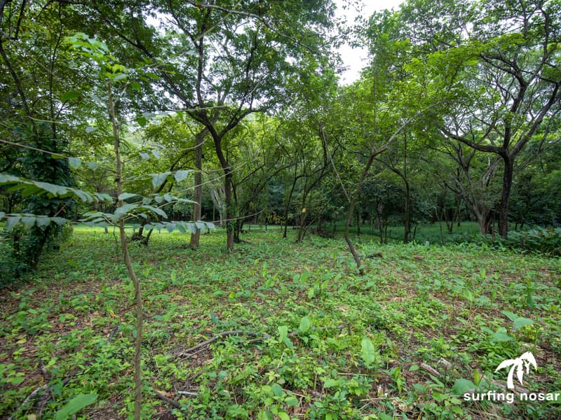 Terreno en Nosara