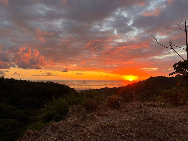Land at Bahía Ballena