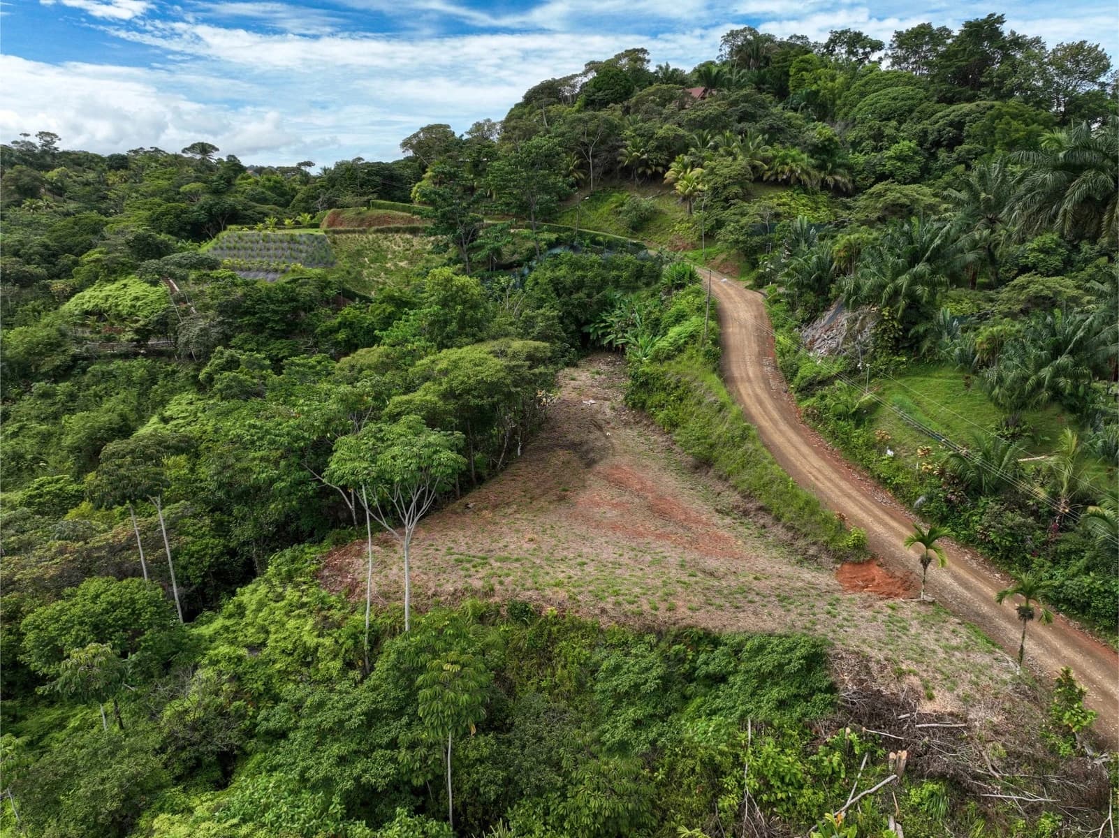 Terreno en Puerto Cortés