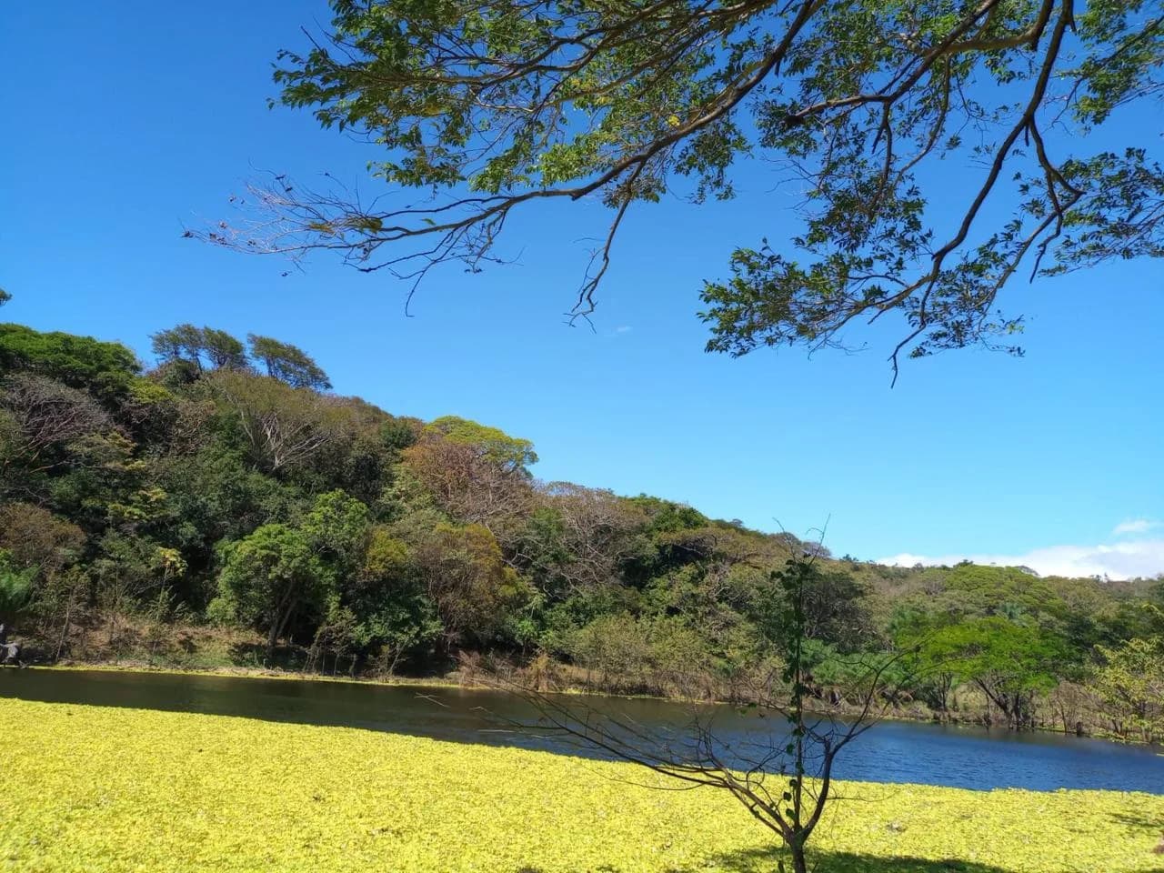 Propiedad en Tilarán
