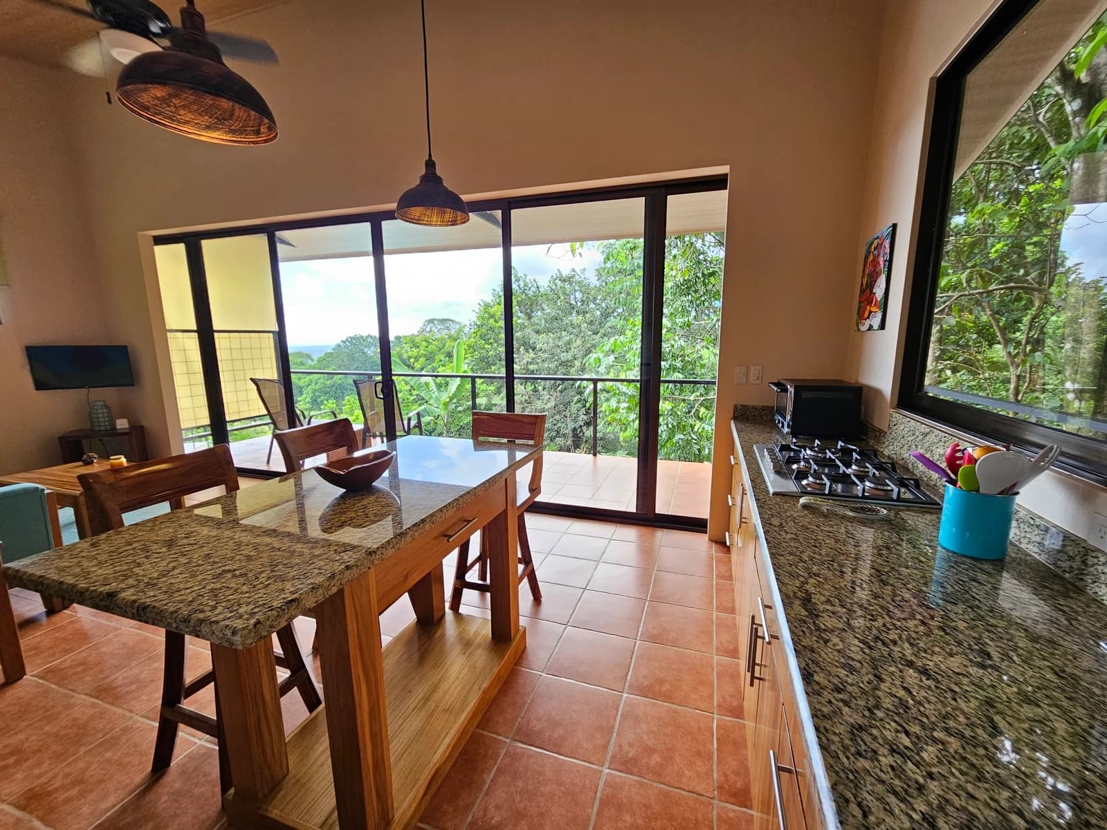 Property at Savegre