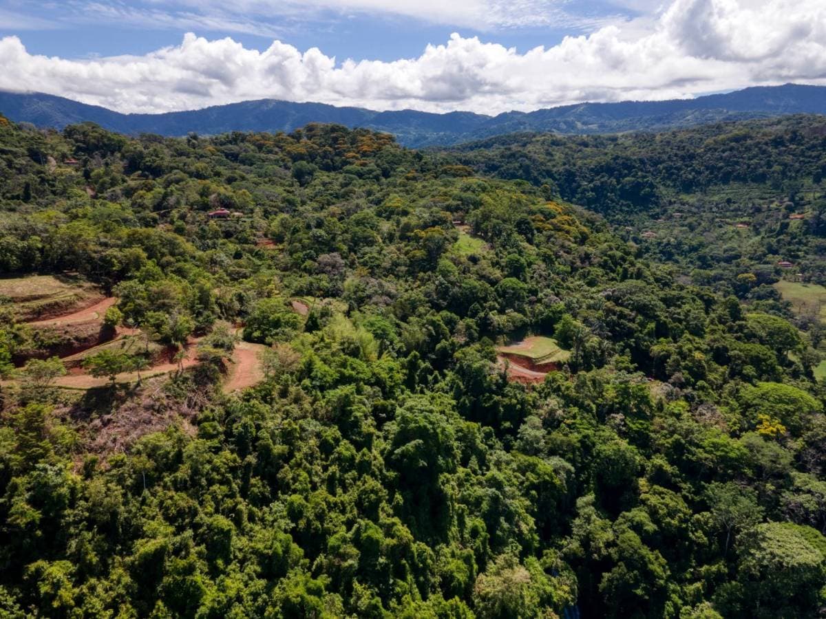 Property at Platanillo