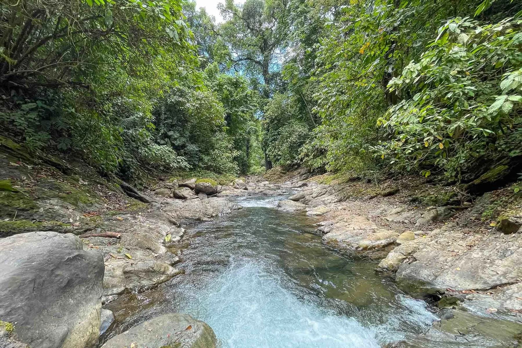 Land at Quepos