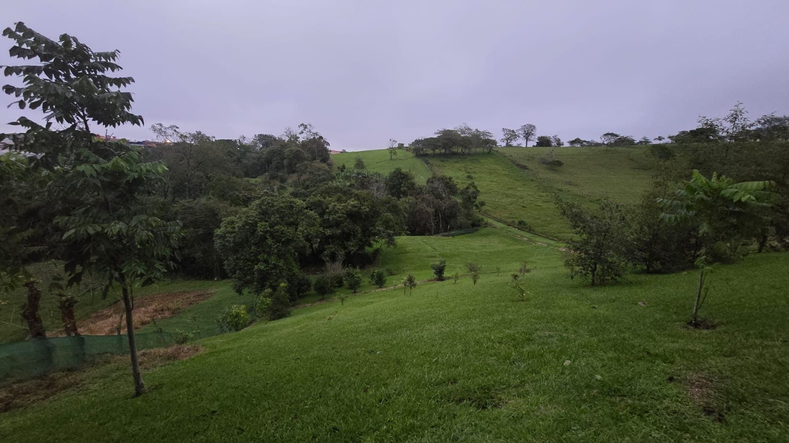 Property at Mata de Plátano