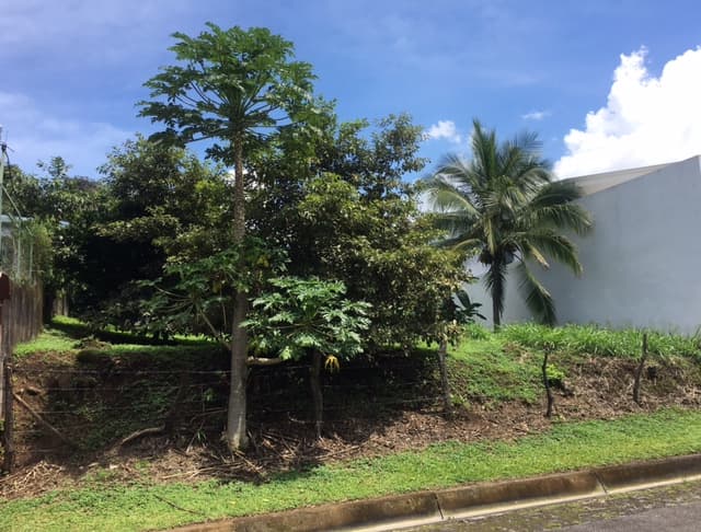 Property at Brasil de Mora