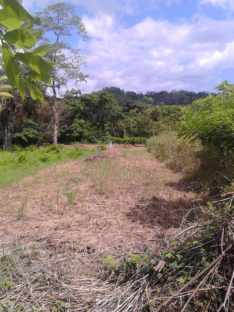 Propiedad en Tamarindo