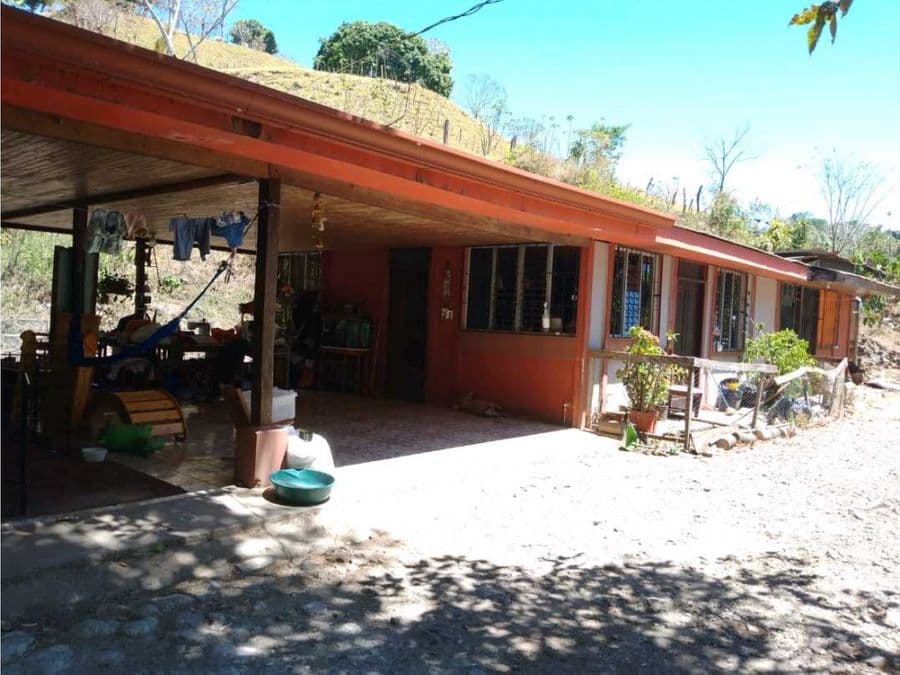 Finca en San Isidro