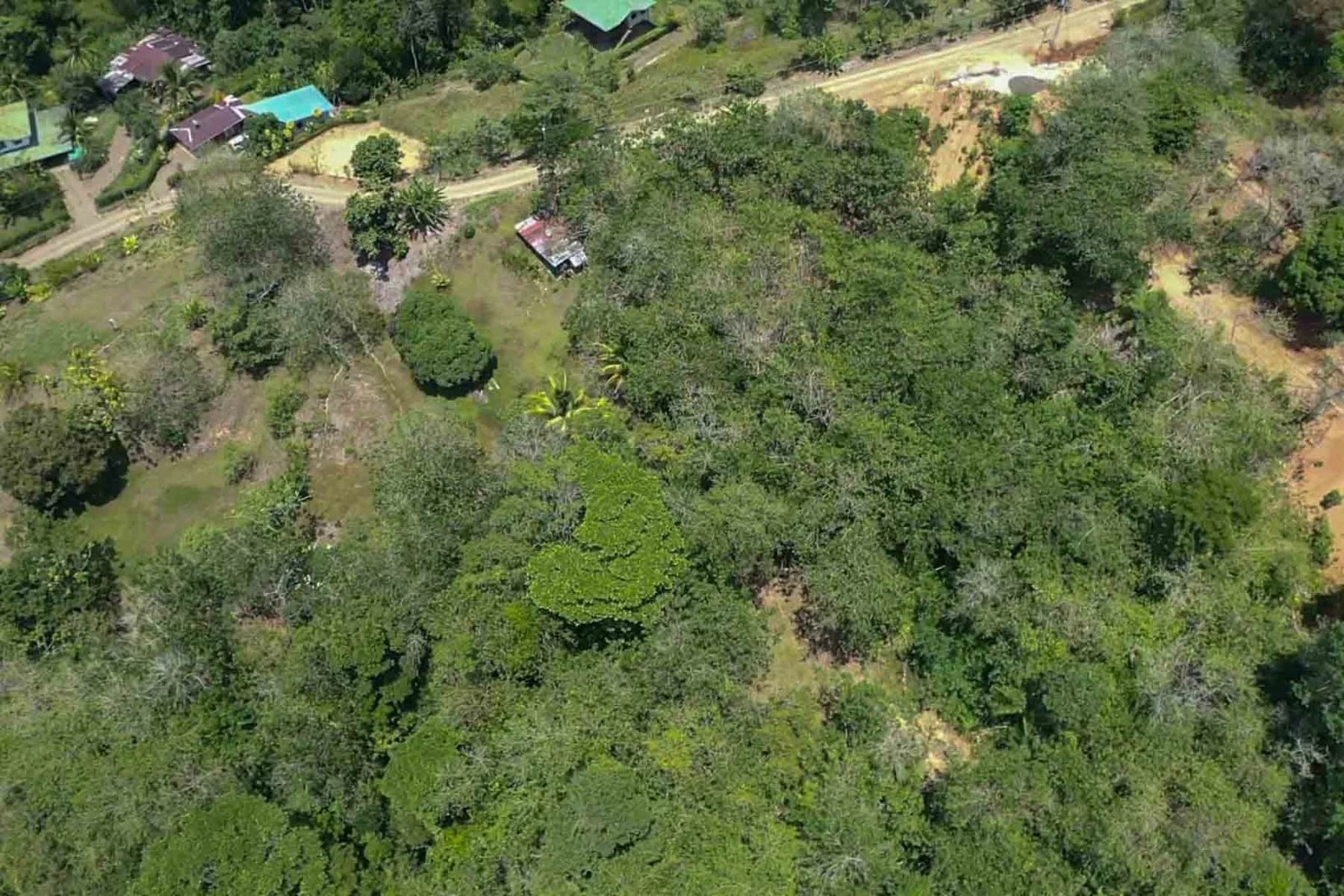 Terreno en Bahía Ballena