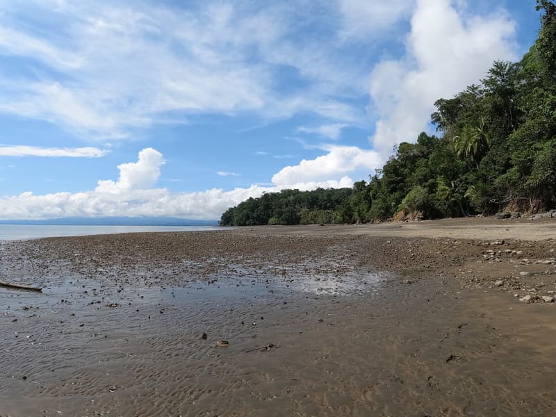 Property at San Antonio