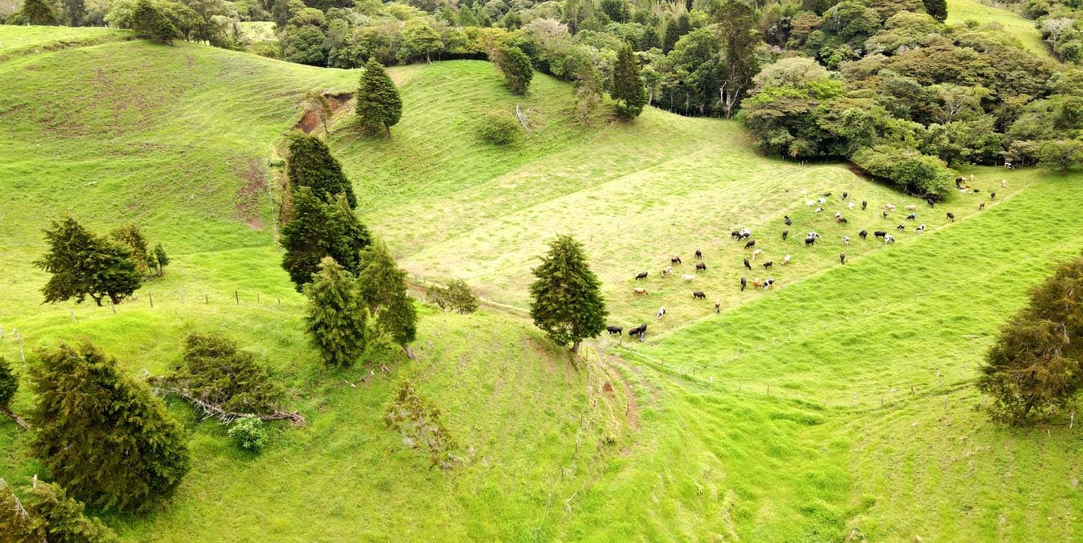 Property at San Jerónimo