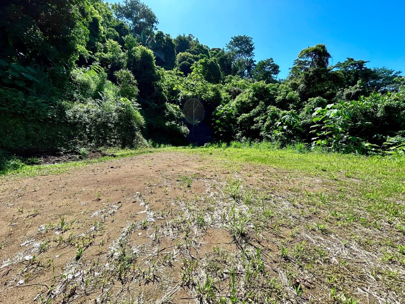 Terreno en Bahía Ballena