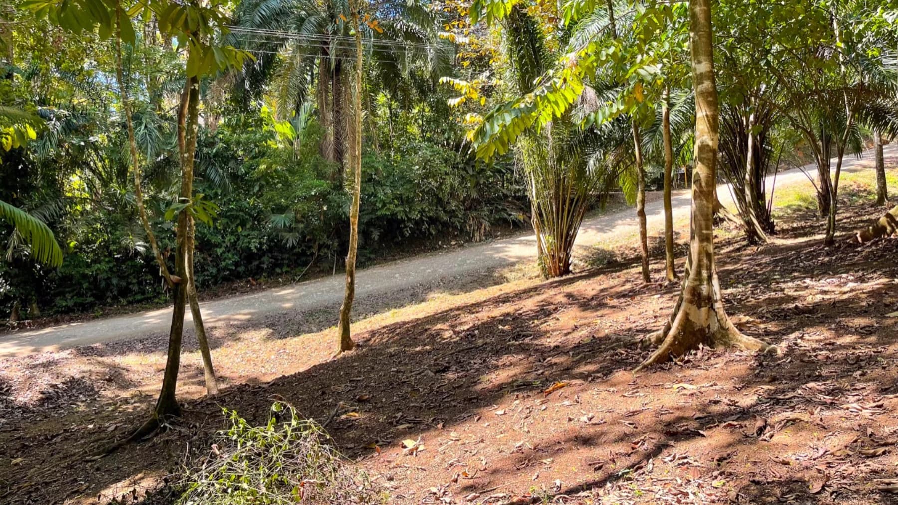 Terreno en Puerto Cortés