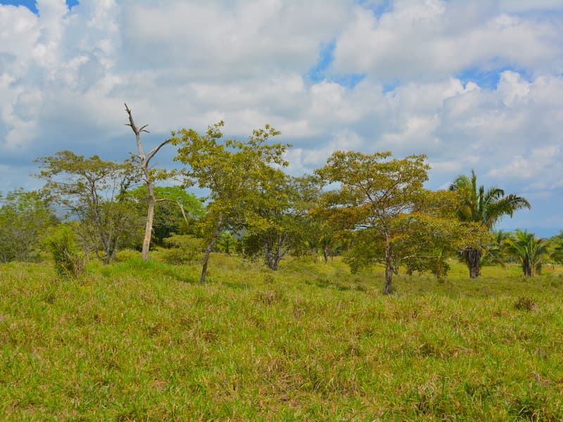 Terreno en Puerto Cortés