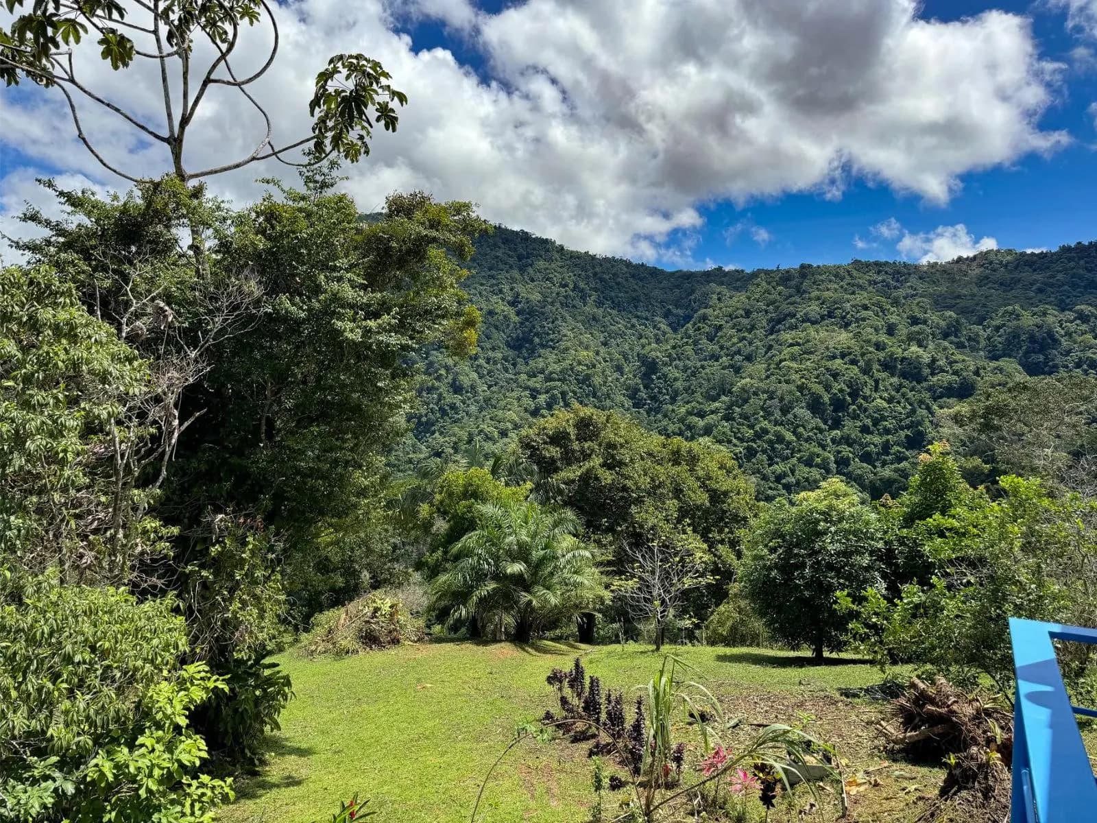 Propiedad en Bahía Ballena