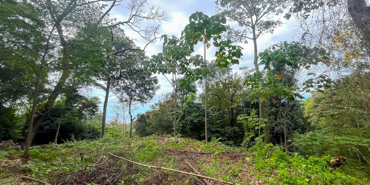 Propiedad en Cóbano