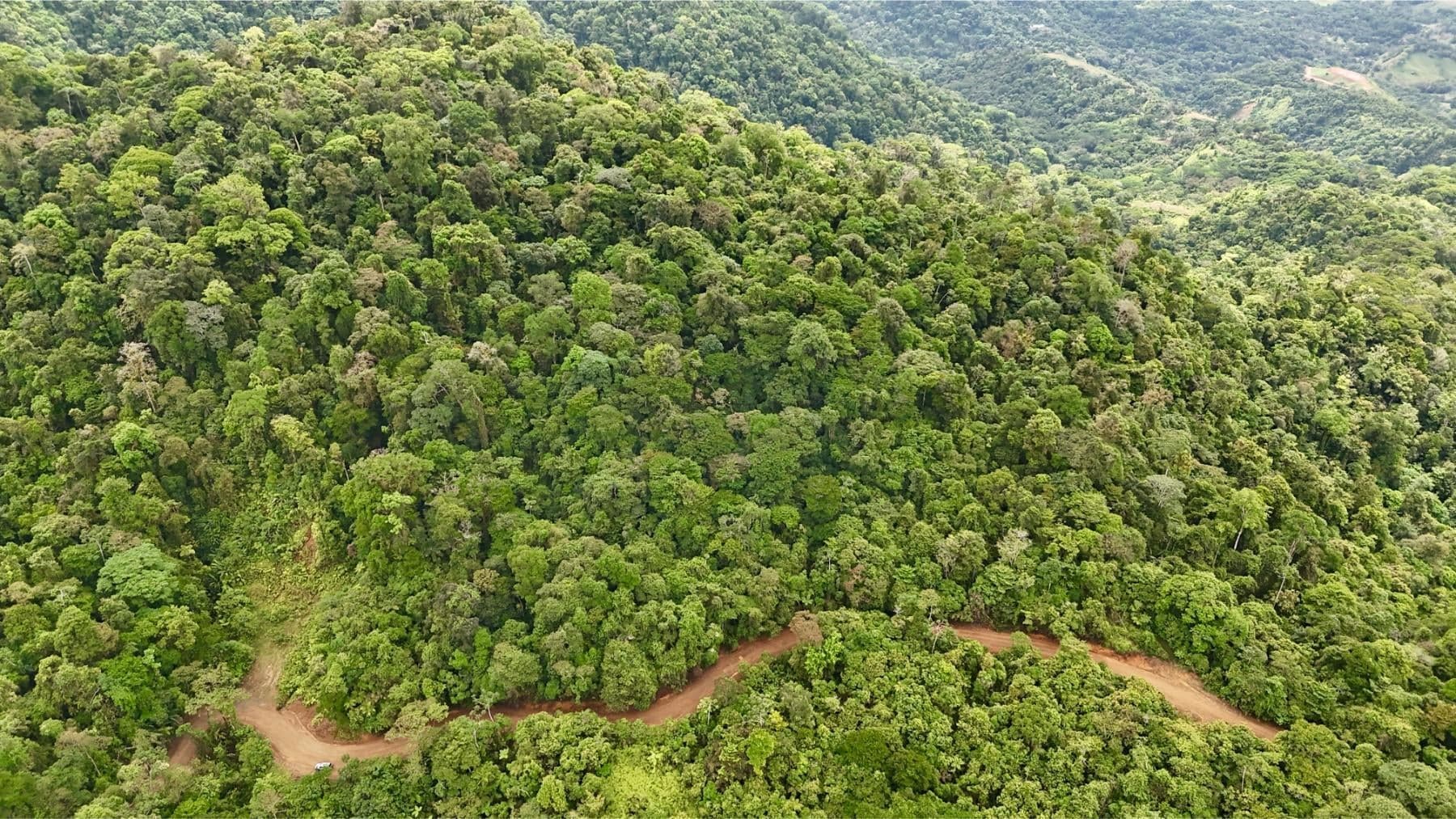 Land at Bahía Ballena