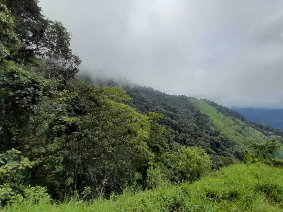 Propiedad en Parrita
