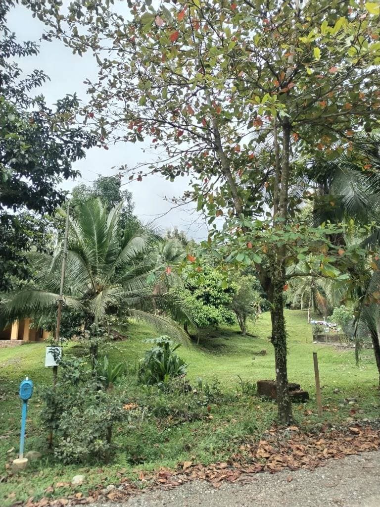 Property at Quepos