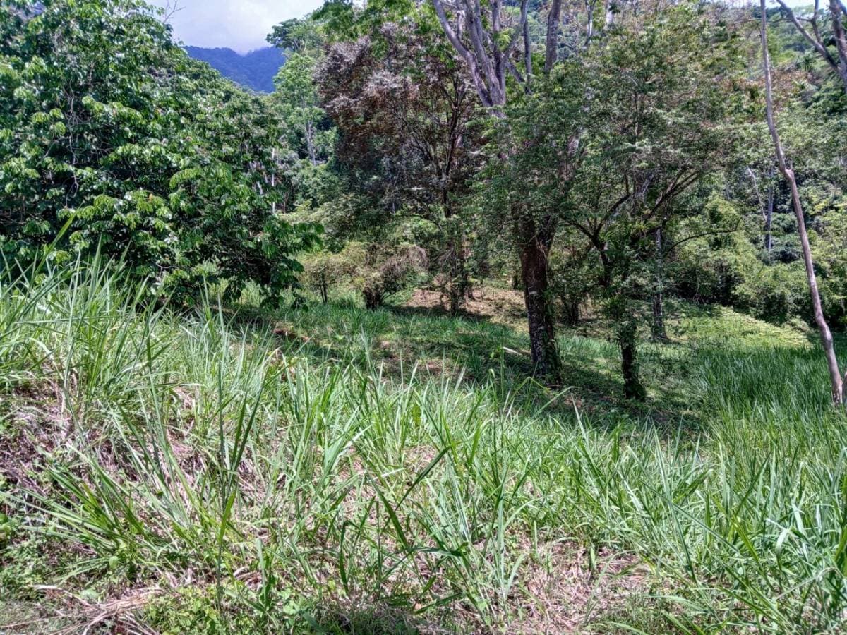 Propiedad en Ojochal
