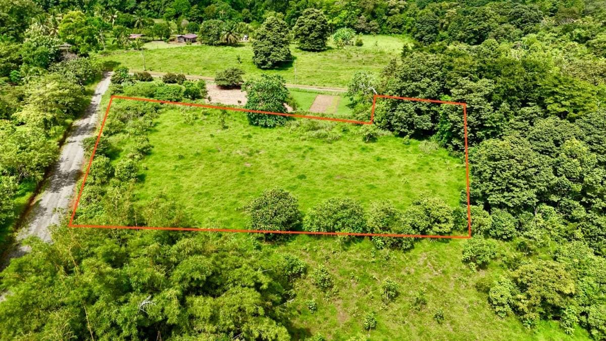 Property at Puerto Jiménez