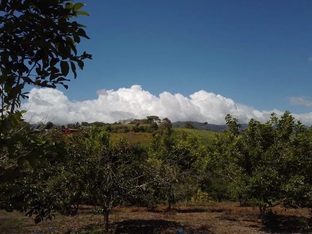 Land at San Isidro del General