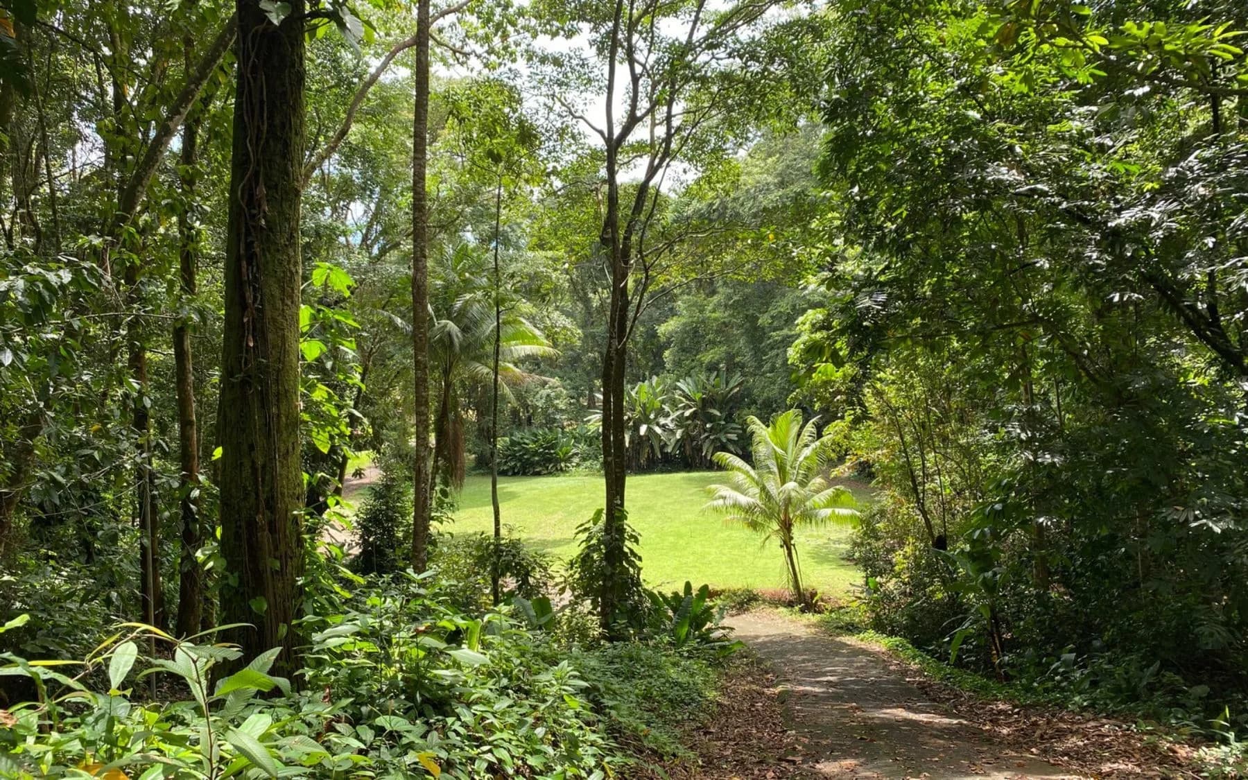 Land at Bahía Ballena