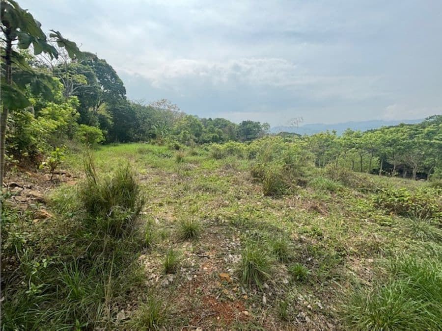 Terreno en Alajuela