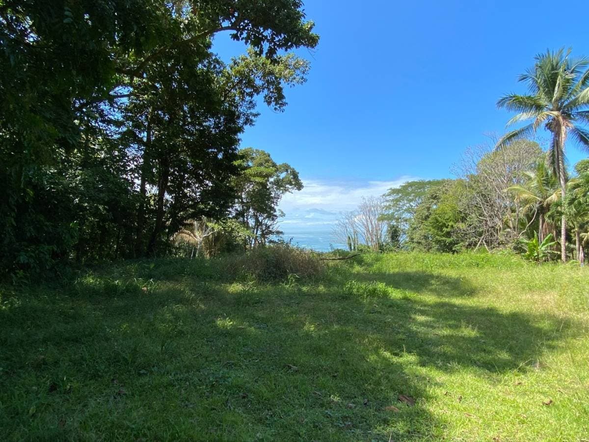 Property at Savegre