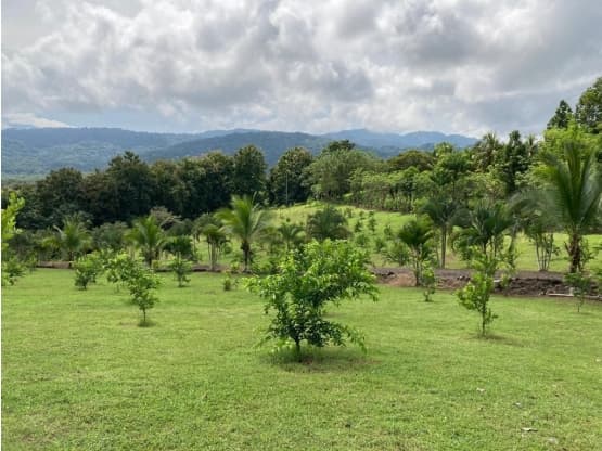 Propiedad en Puntarenas