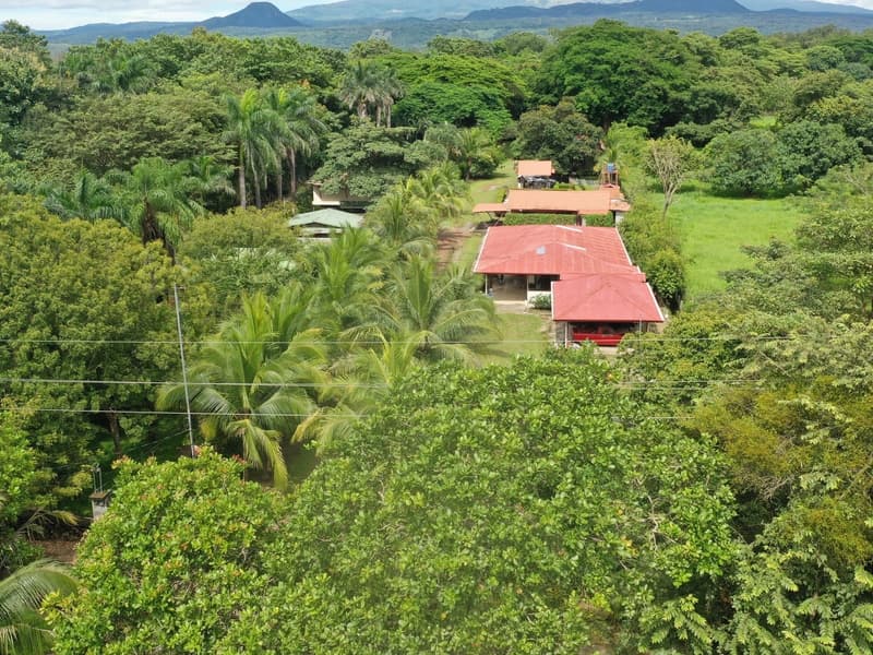 Comercial en Cañas Dulces