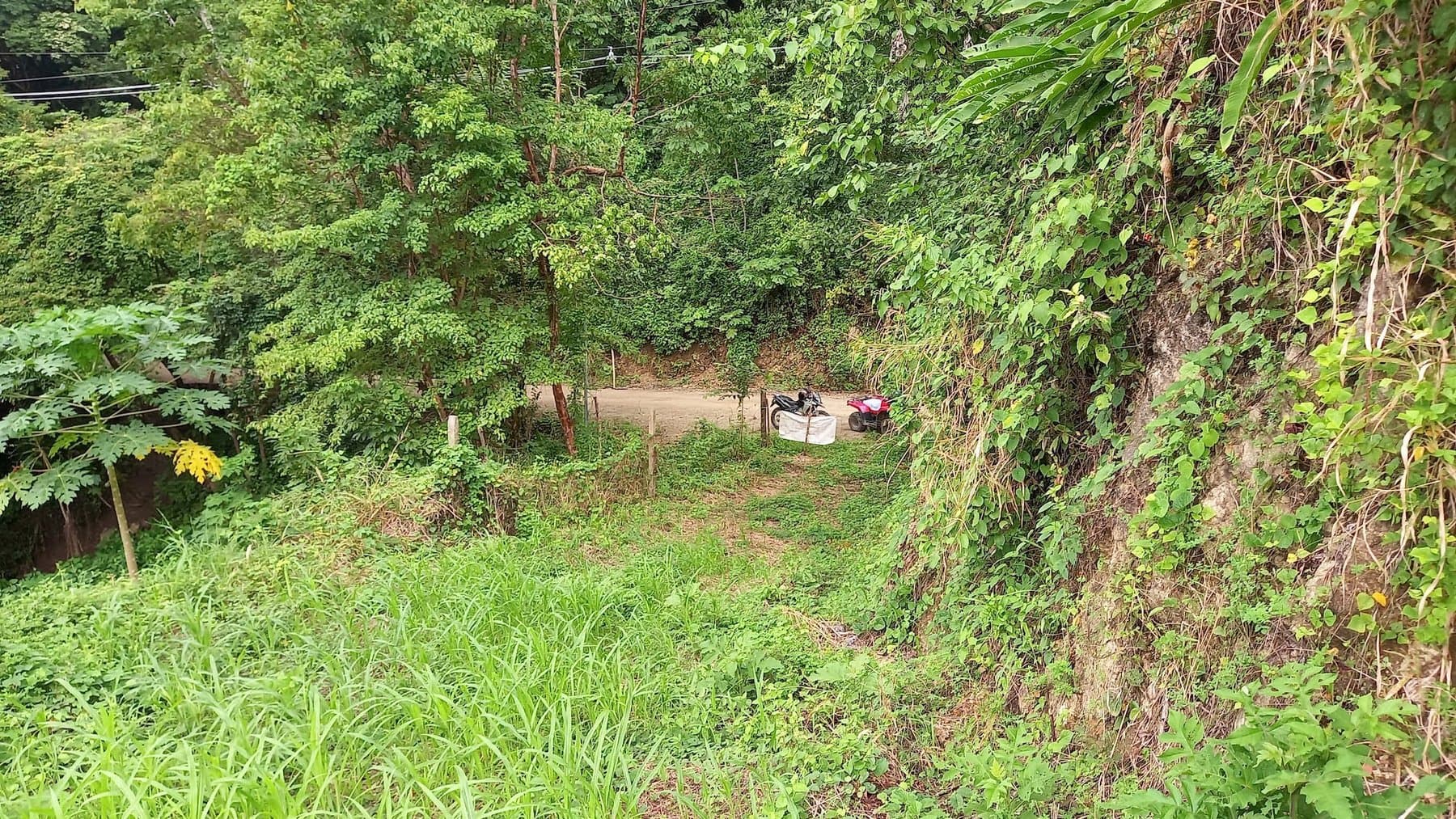 Land at Cóbano