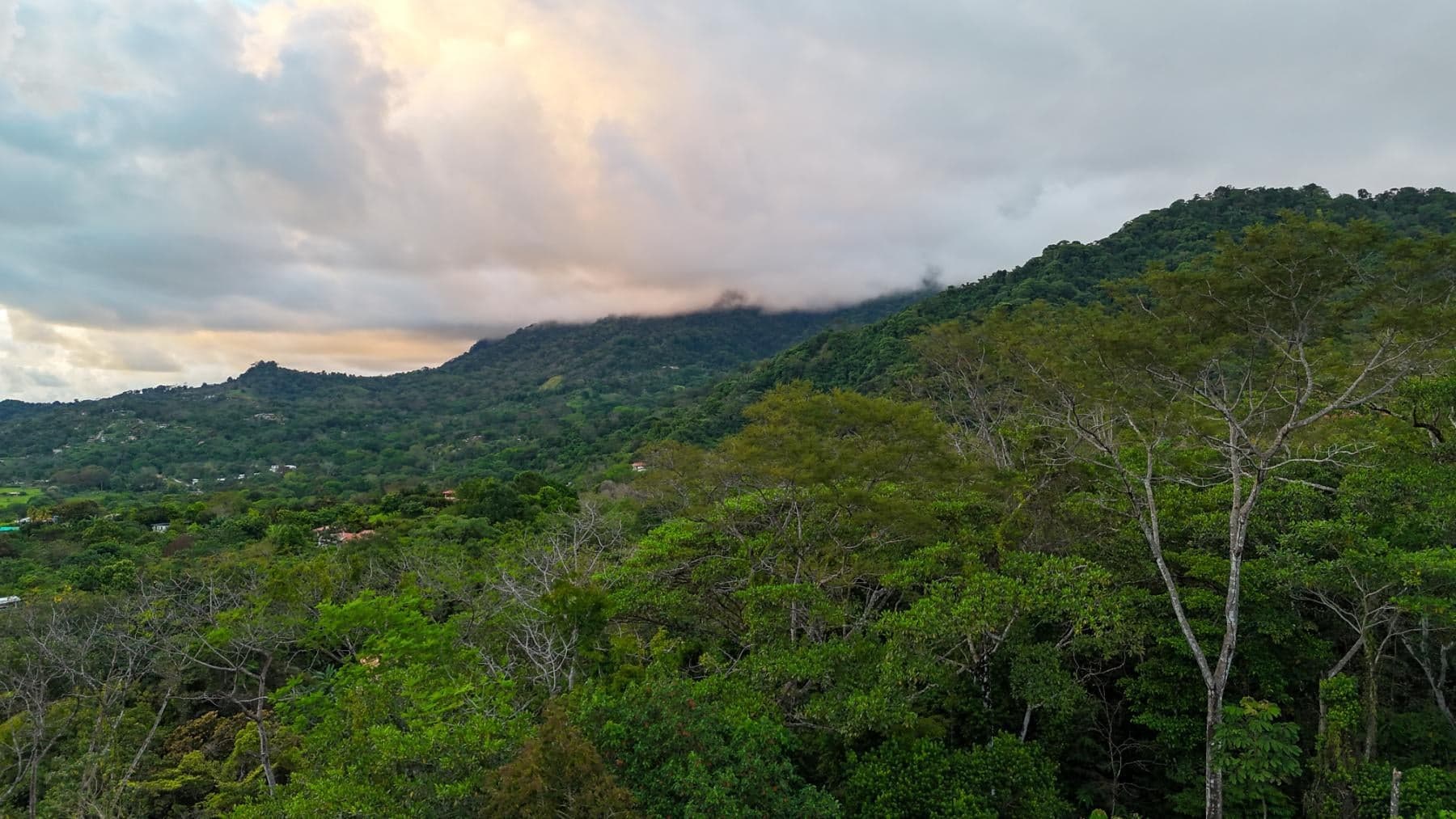 House at Puerto Cortés