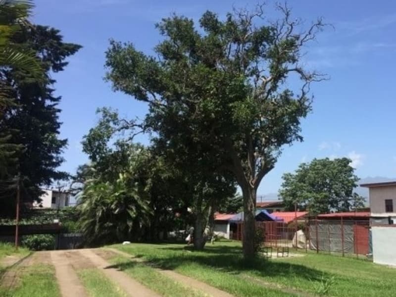 Terreno en San Juan
