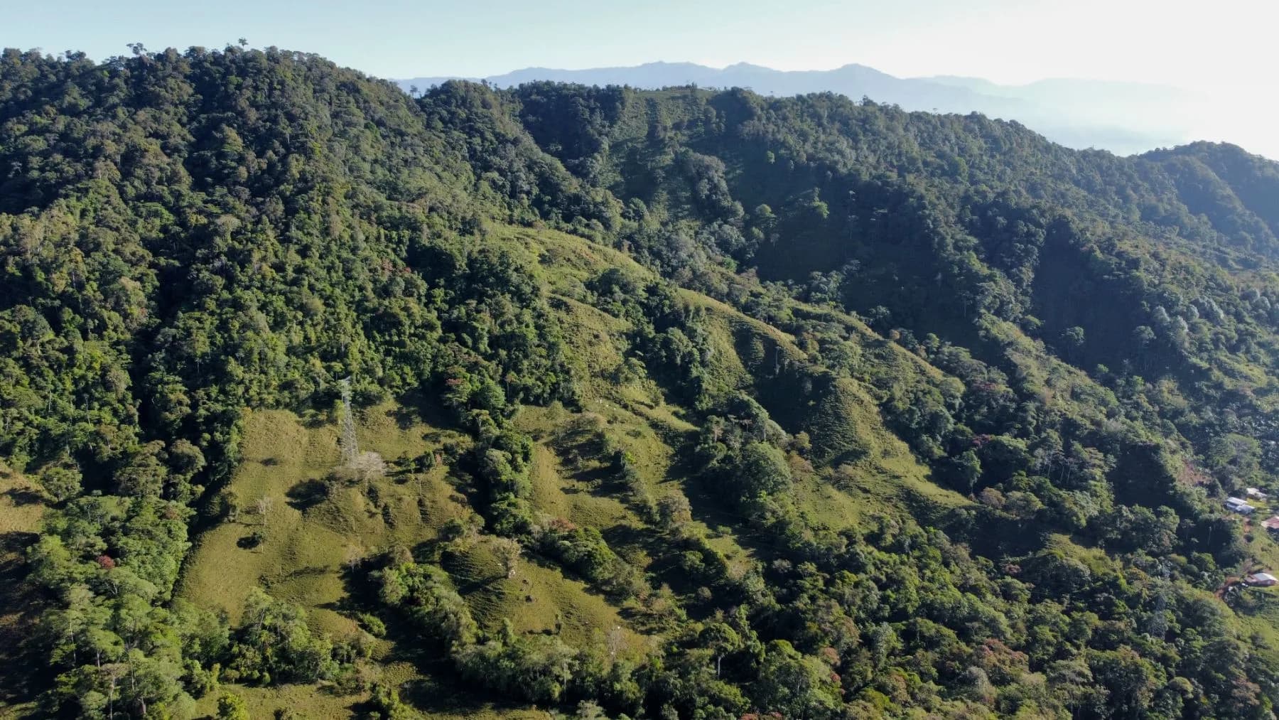 Terreno en Bahía Ballena