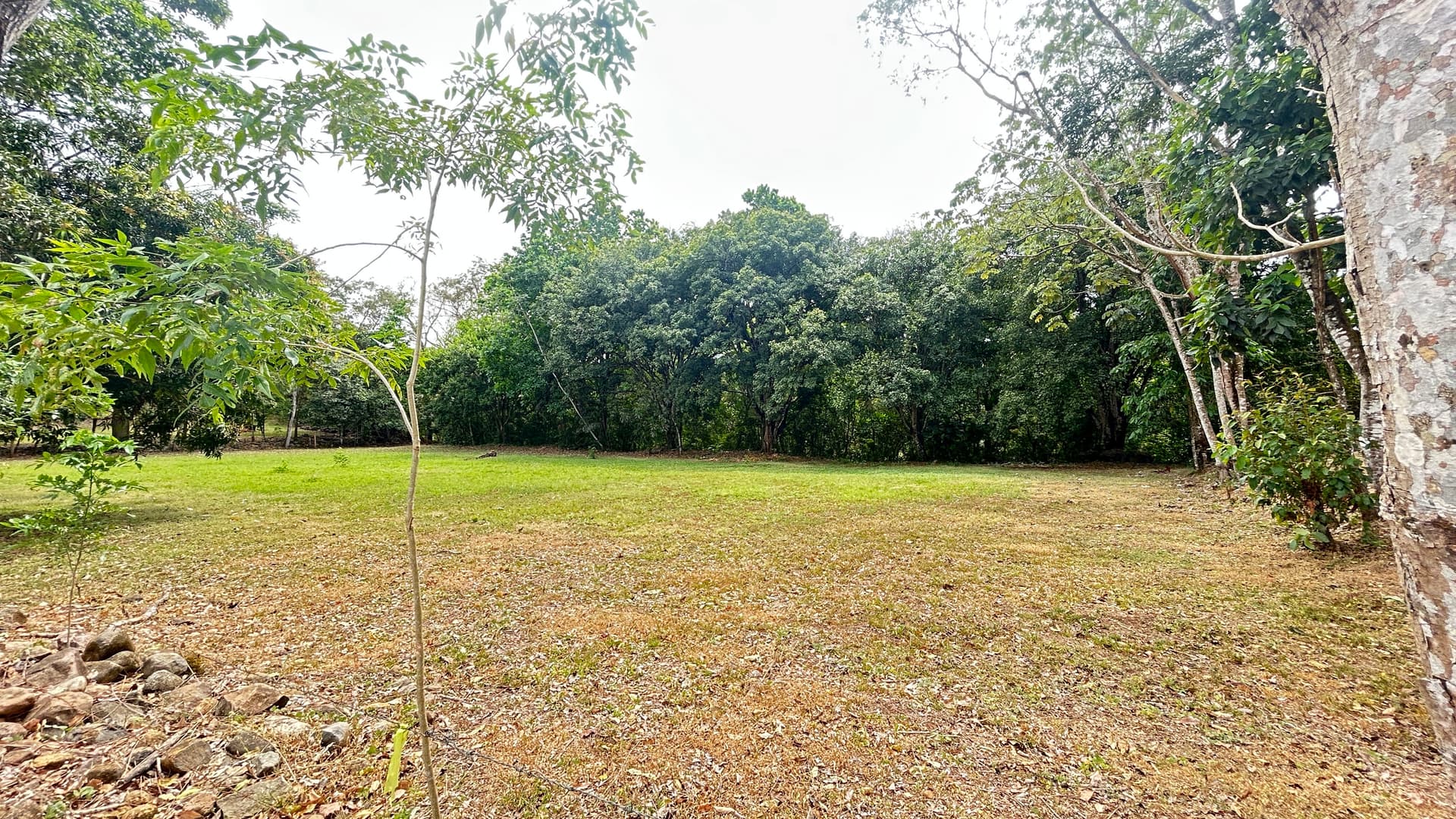 Terreno en San Mateo