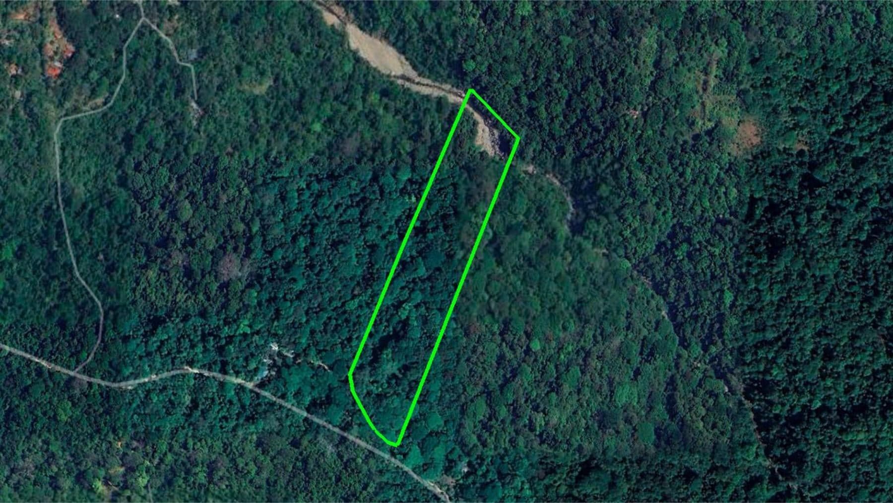 Land at Bahía Ballena