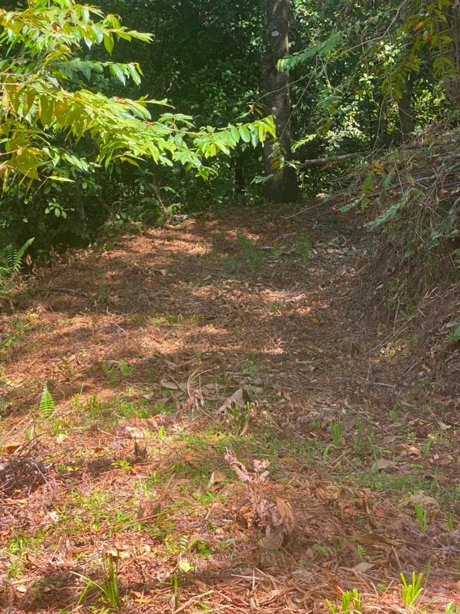 Terreno en Puerto Cortés