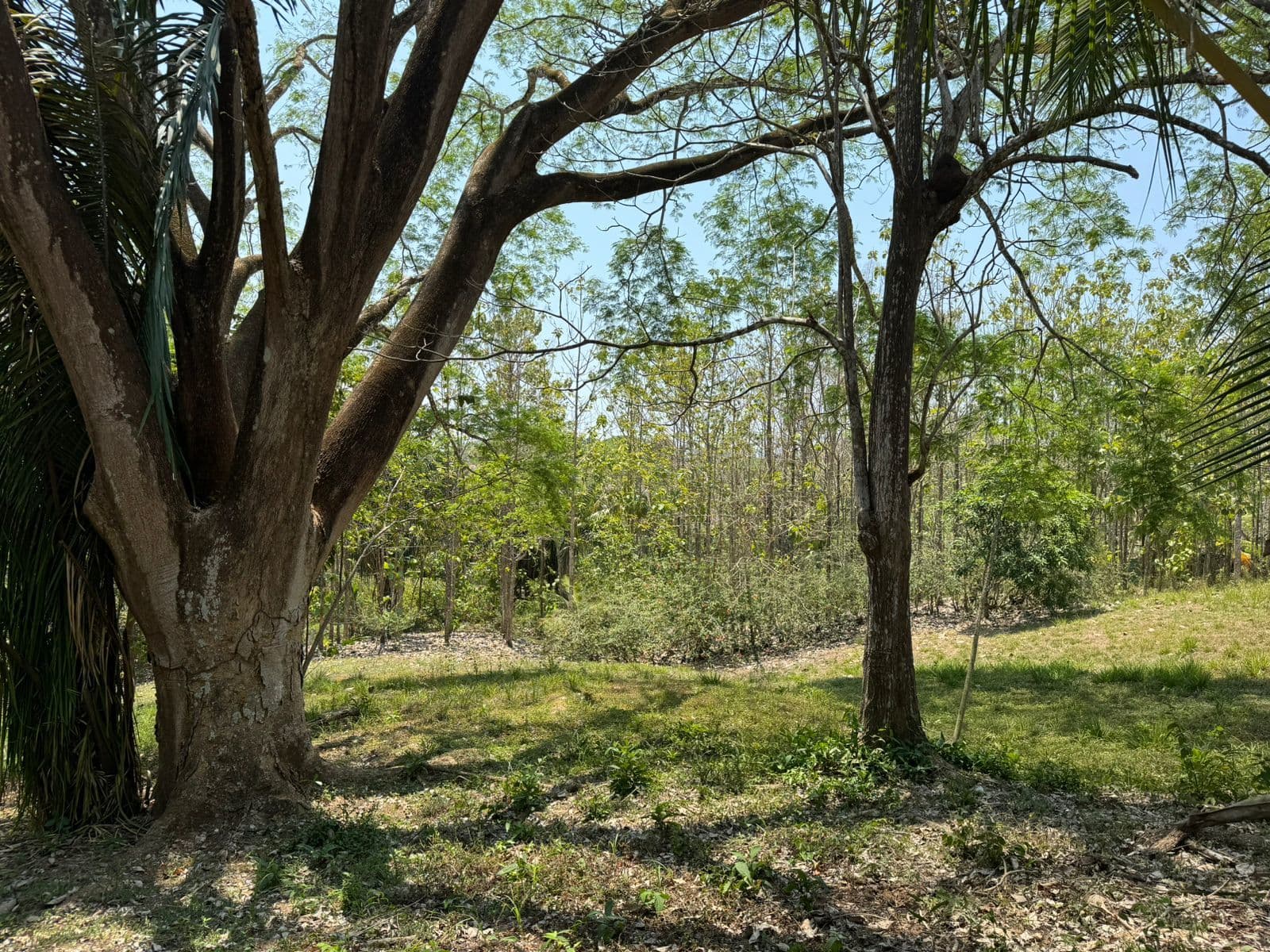 Terreno en Cóbano