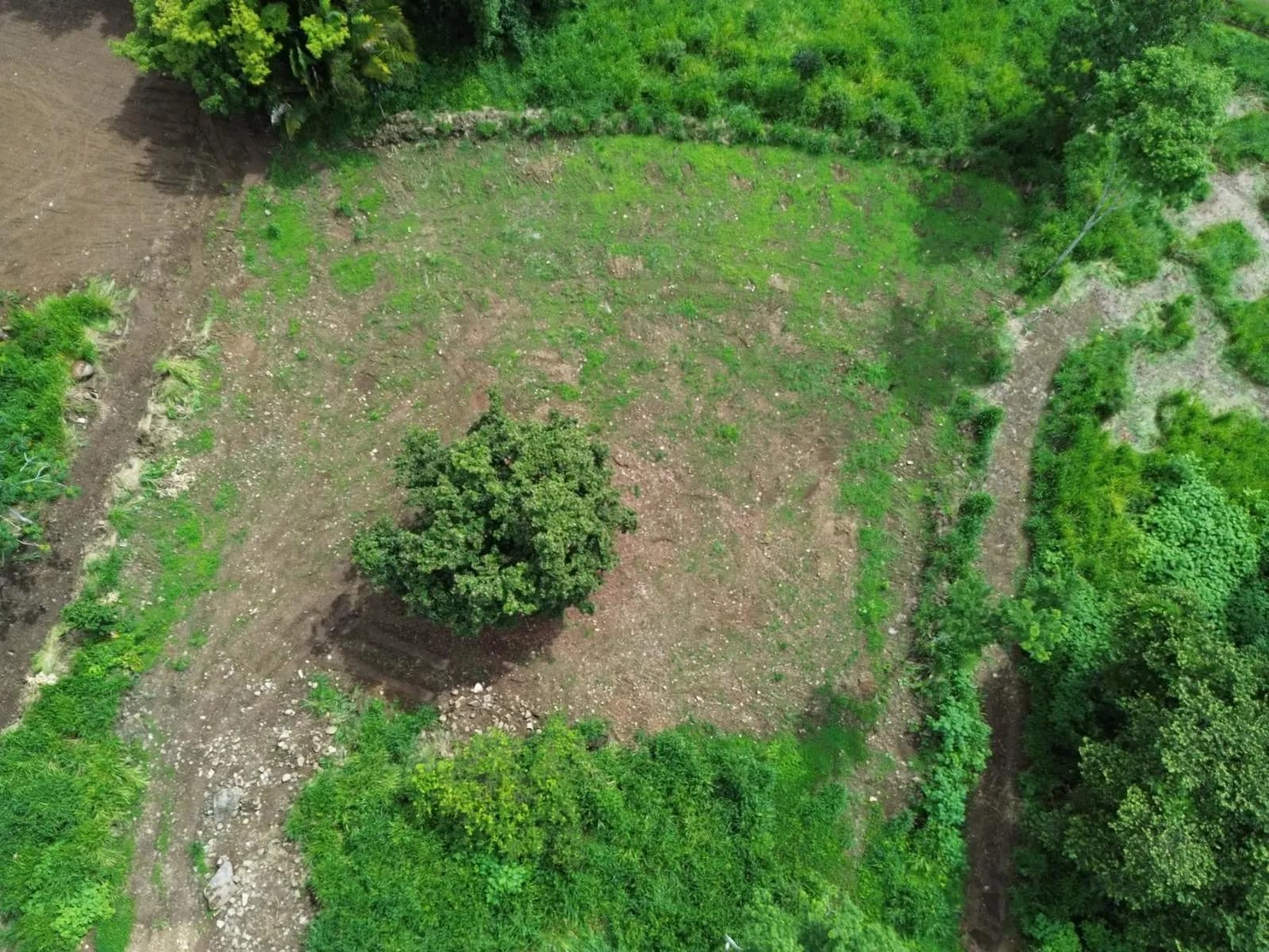 Terreno en Puerto Cortés
