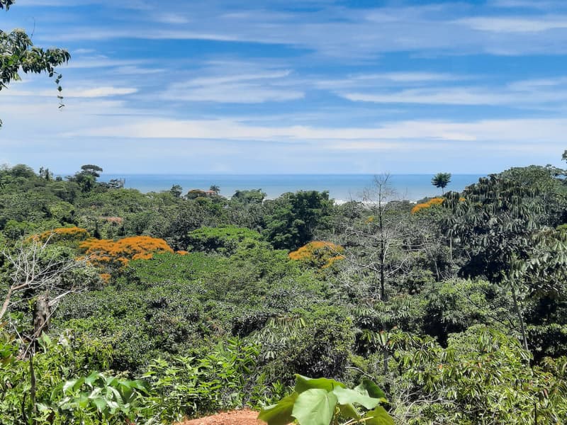 Terreno en Puerto Cortés