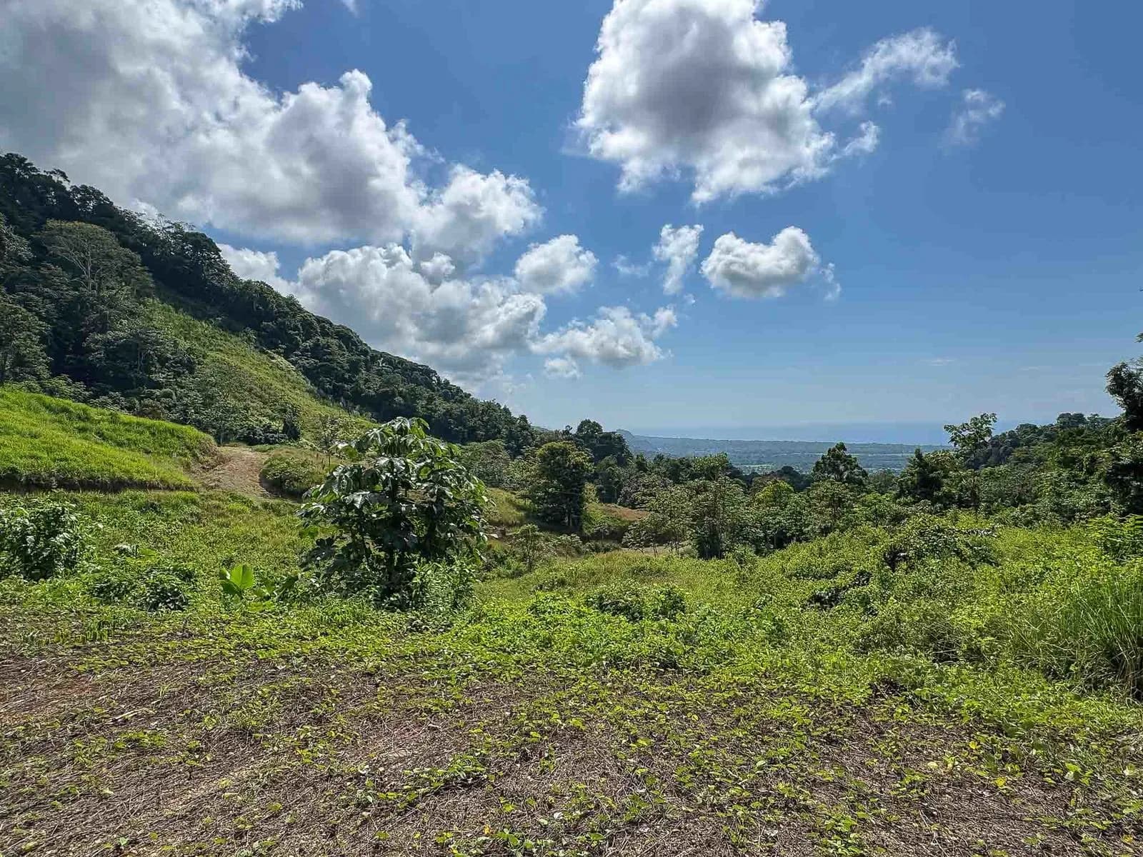 Land at Quepos