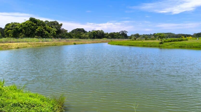 Land at Playa Hermosa