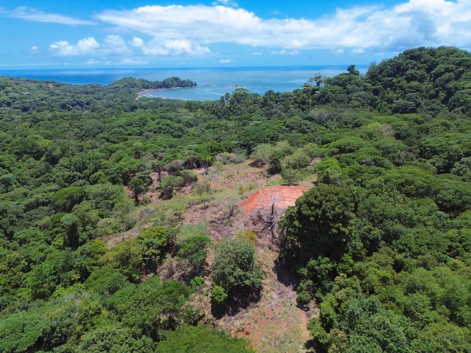 Land at Bahía Ballena